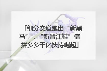 细分赛道跑出“新黑马”，“新晋江鞋”借拼多多千亿扶持崛起